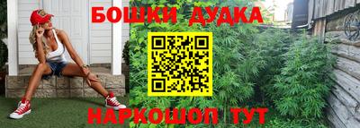 ГАЛЛЮЦИНОГЕННЫЕ ГРИБЫ Гусиноозёрск