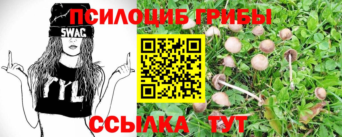 Псилоцибиновые грибы GOLDEN TEACHER  Вход с VPN  Нижний Новгород 