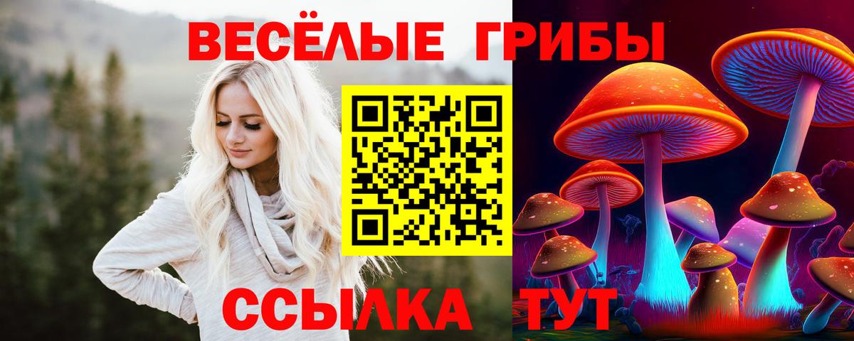 Псилоцибиновые грибы мухоморы Нижний Новгород